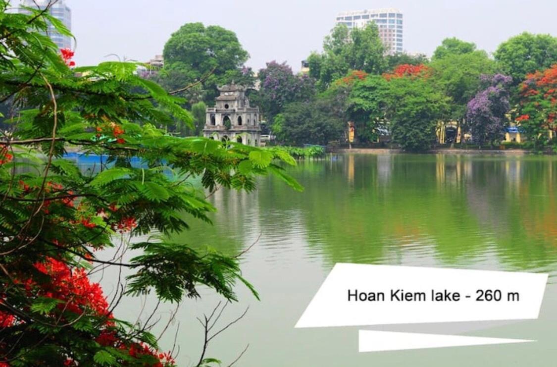 Vietnam Apple