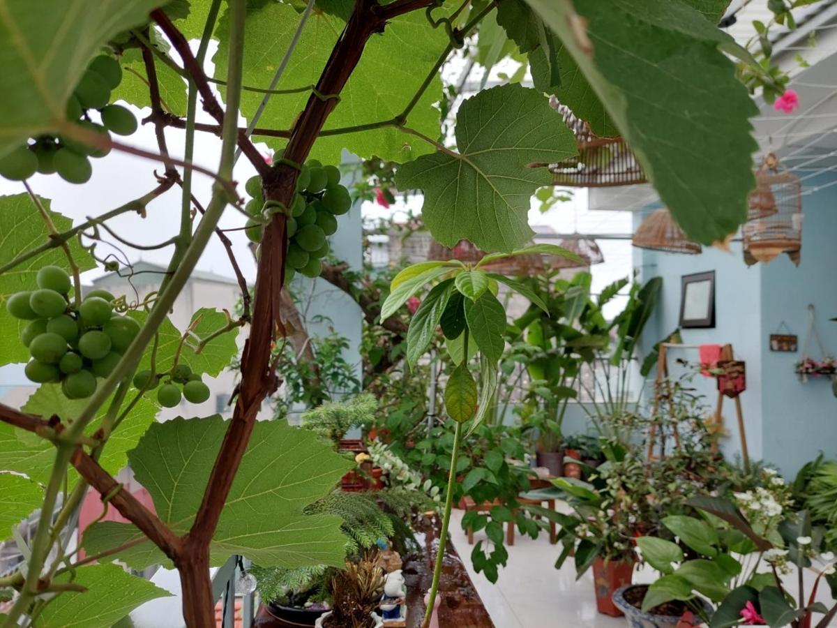 Alley Homestay Hanoi