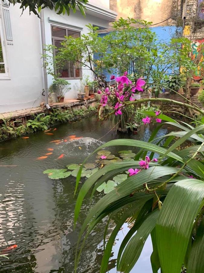 Chez Madame Binh Bed & Breakfast Hanoi