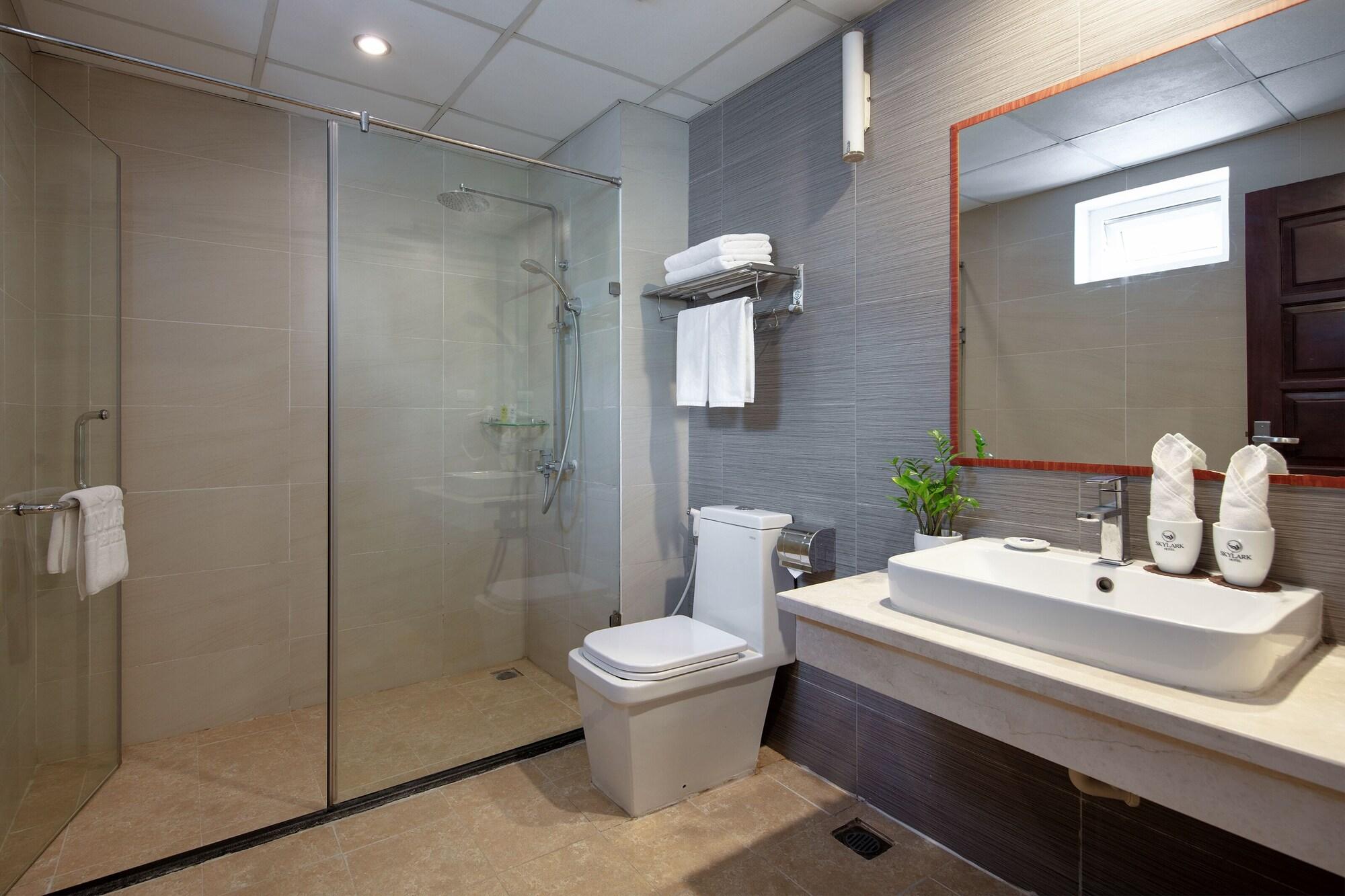 Hotel Skylark 4*