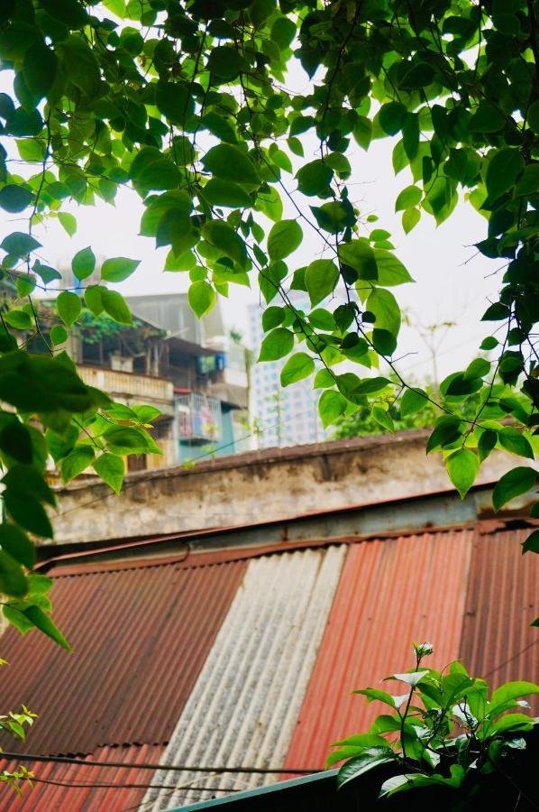 Chu Nhat Cafe & - 12 Ngo 41 Duong Lang - Co So 1 Hostel Hanoi