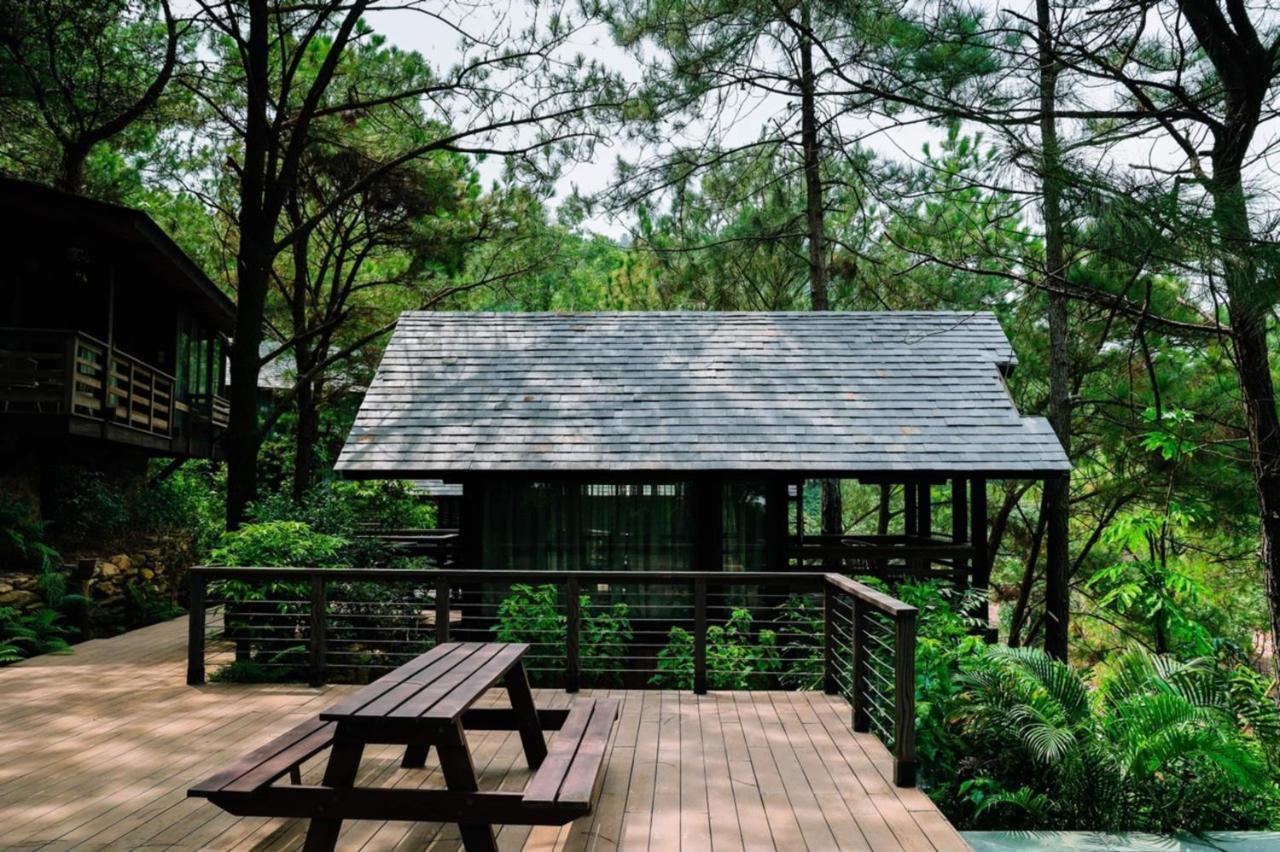 Amaya Retreat *