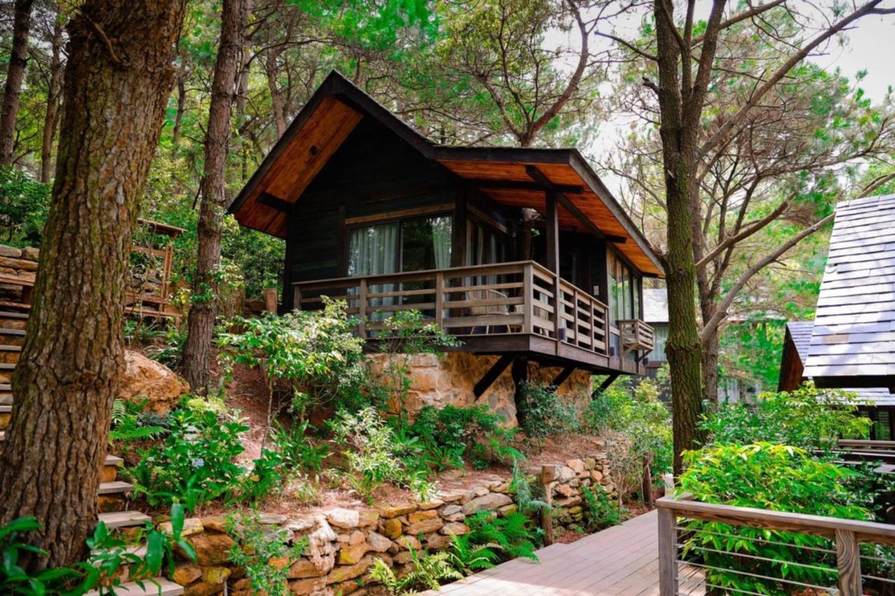 Amaya Retreat