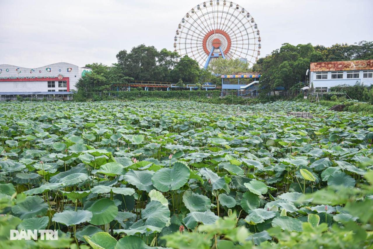 Apartment Price Ho Guom For Long Hanoi