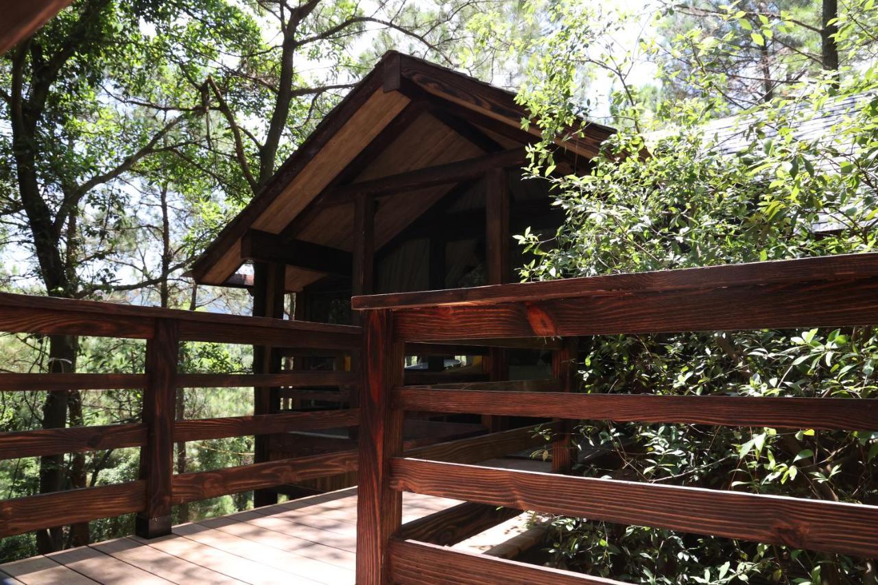 Amaya Retreat * Hanoi