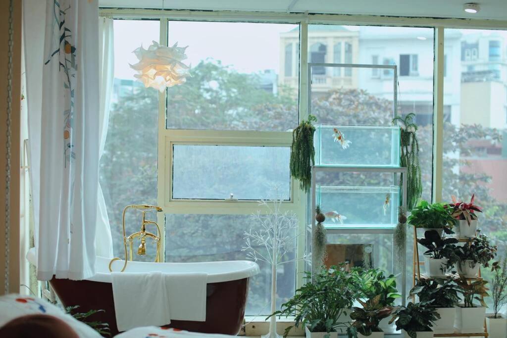 Langmandi Luxury Apartment *