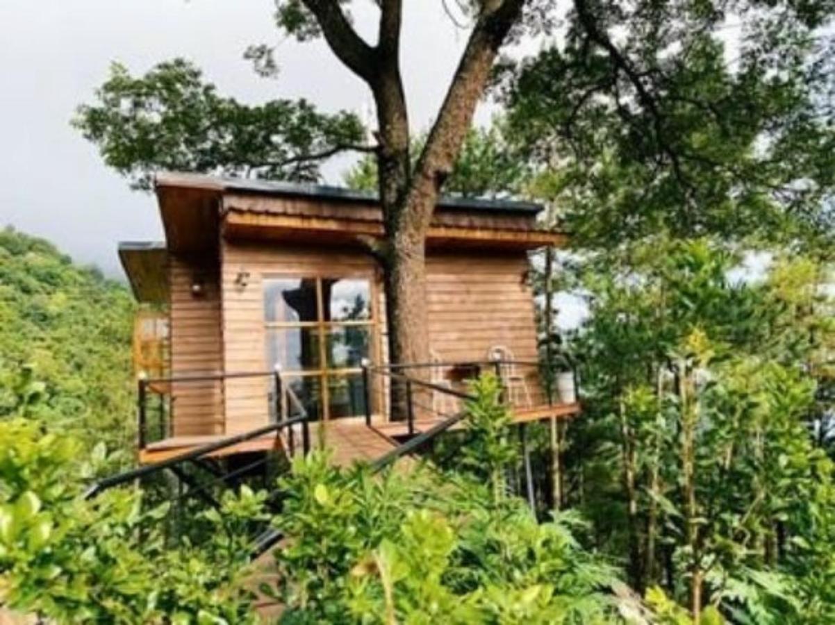 Chillout Village - Tam Dao