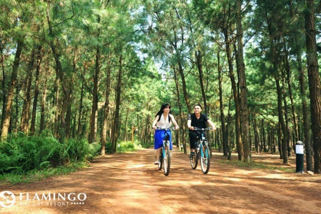 3 Phong Ngu Starsky Hoang Quyen 9- Flamingo Dai Lai Resort- Voi Be Boi & An Sang Mien Phi * Hanoi
