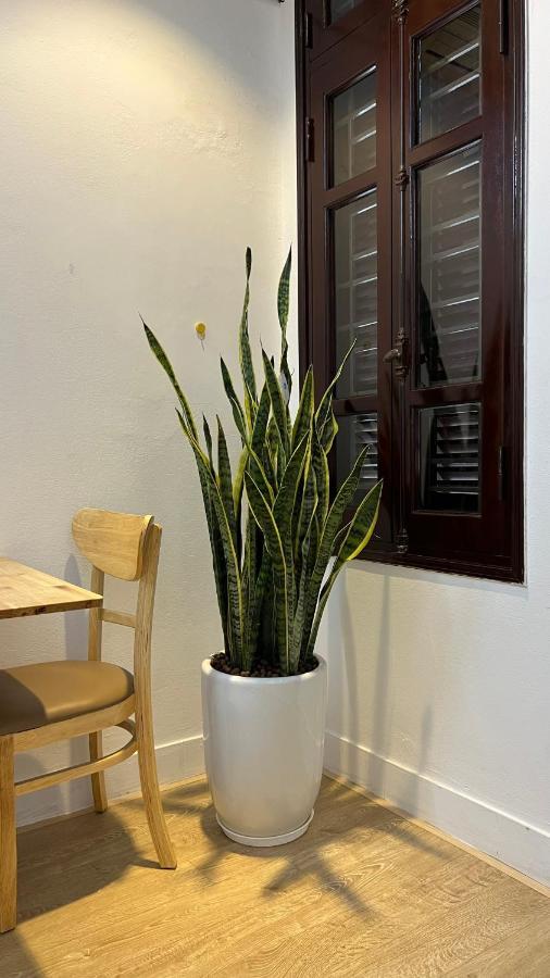 The Hive Homestay Hanoi