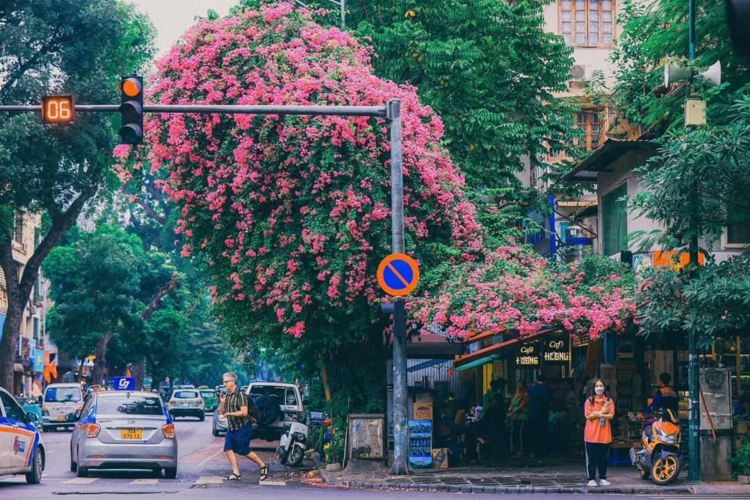 Tropical Land Little Privatunterkunft Hanoi