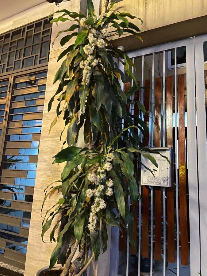 Residence-800m From Opera House Apartamento *