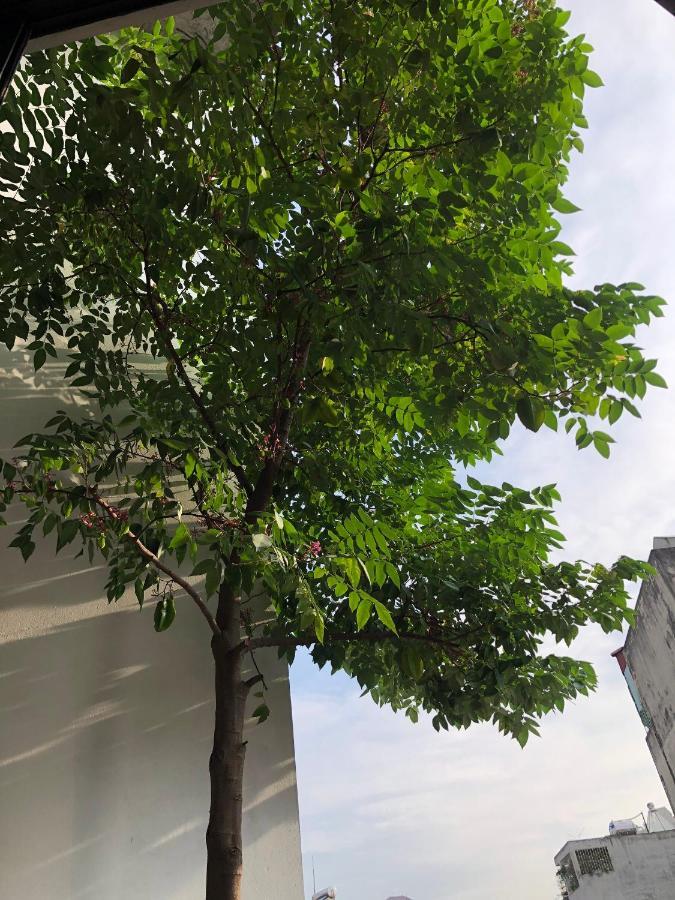 Crin House Tay Ho Homestay Hanoi