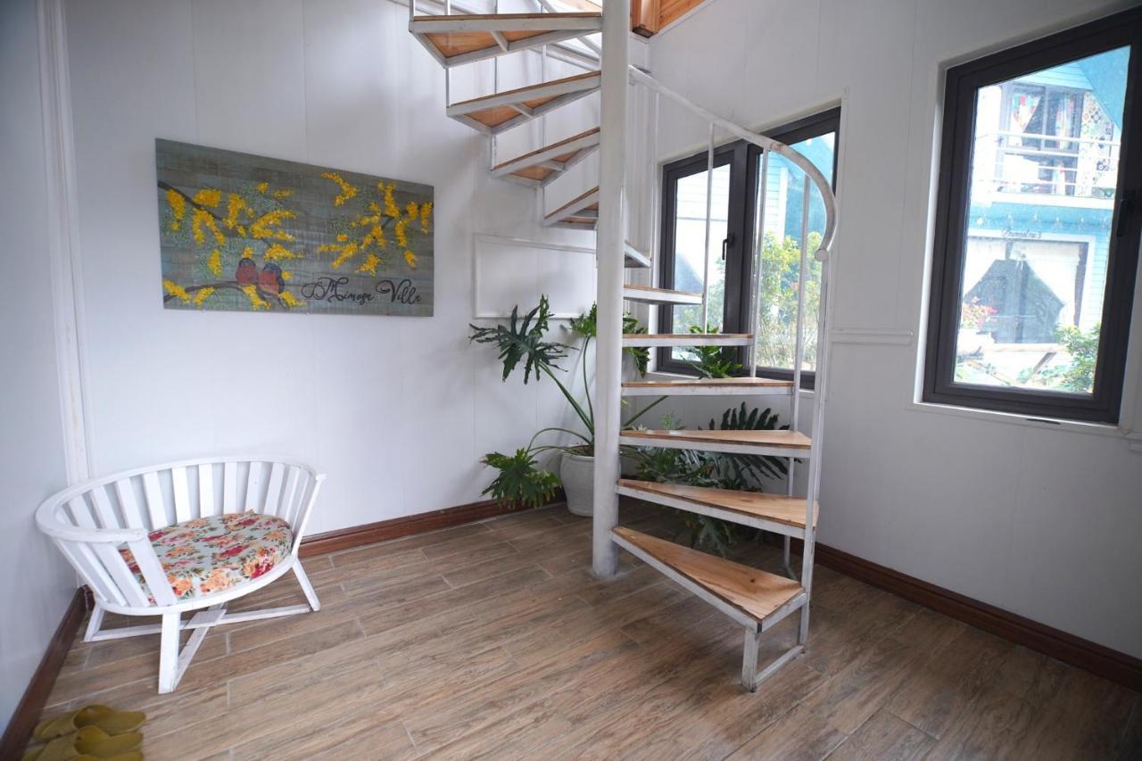 Hospedagem domiciliar Mimosa *
