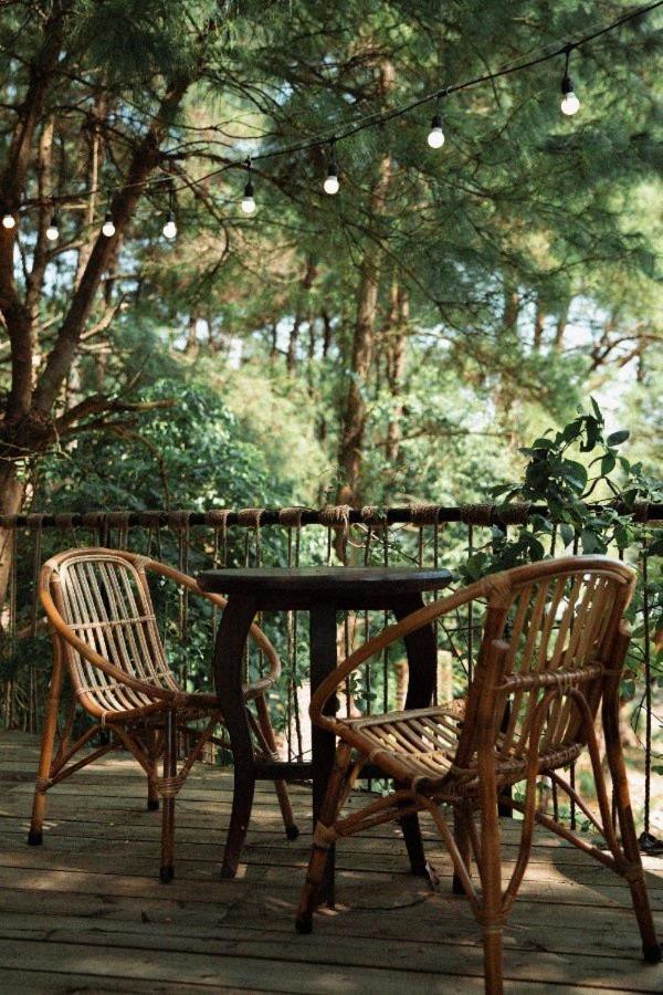 Vila Sausau Garden, A Pefect Retreat For Relaxing, Close To Noi Bai Airport Hanoi