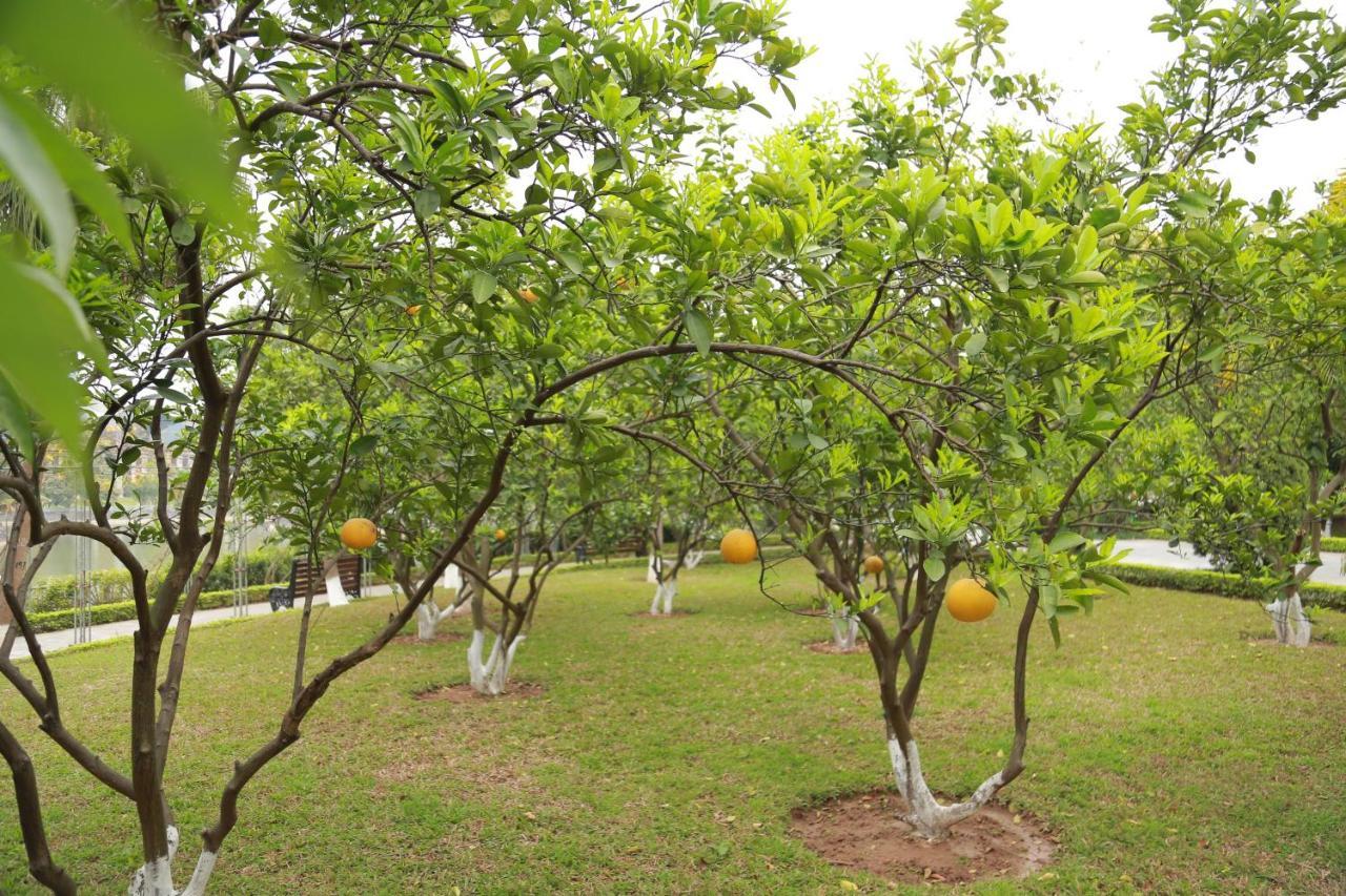 Ncc Garden - Ncc