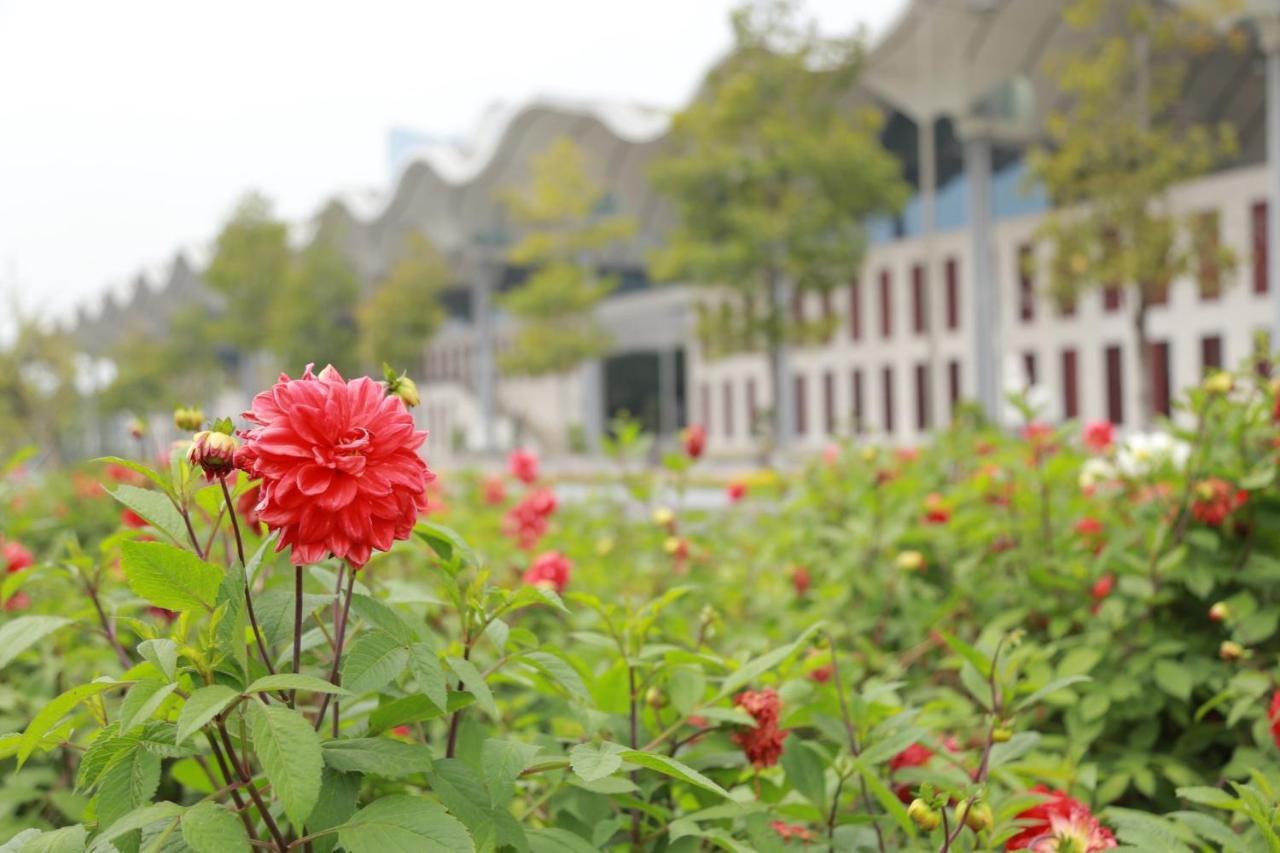 Ncc Garden Villas - Ncc Hotel 4*