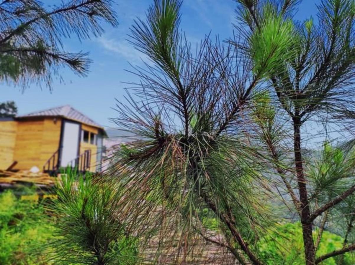 Hospedagem domiciliar Mimosa Hanói