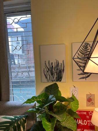 Apartment Old Quarter Malo Homestay Hanoi