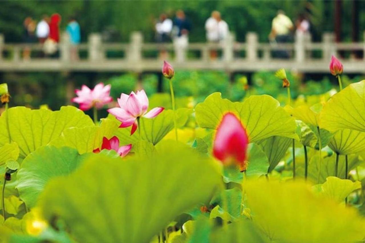 Luck 9 - Westlake Balcony * Hà Nội