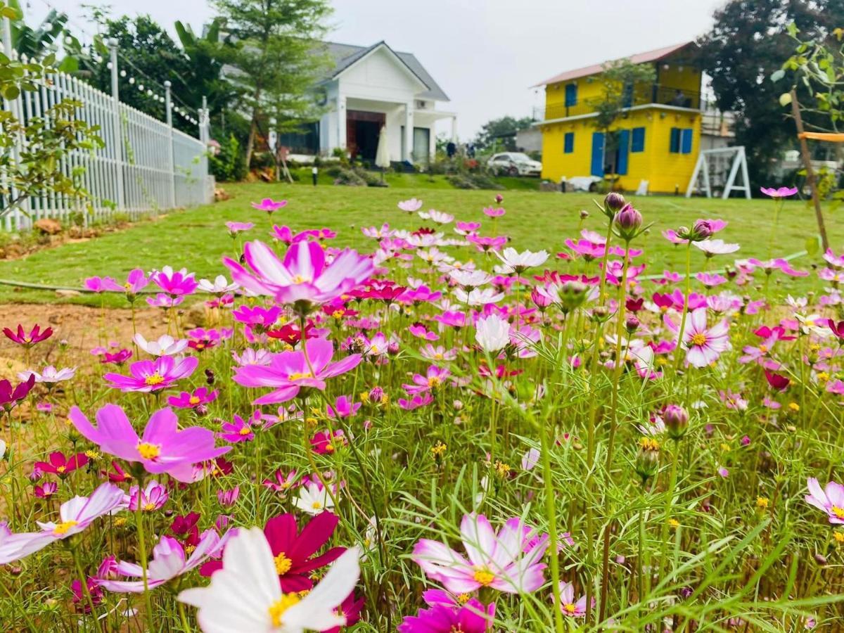 Pangsapuri Lali *
