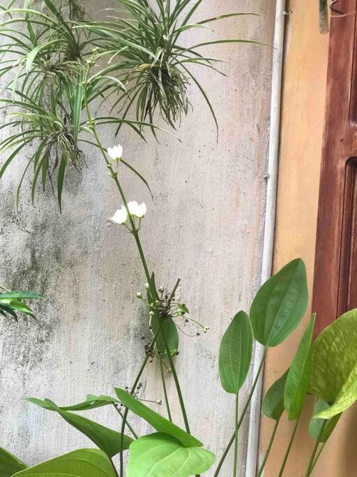 T30 Homestay, Near Lotte Tay Ho, 25minutes To The Airport Hanoi