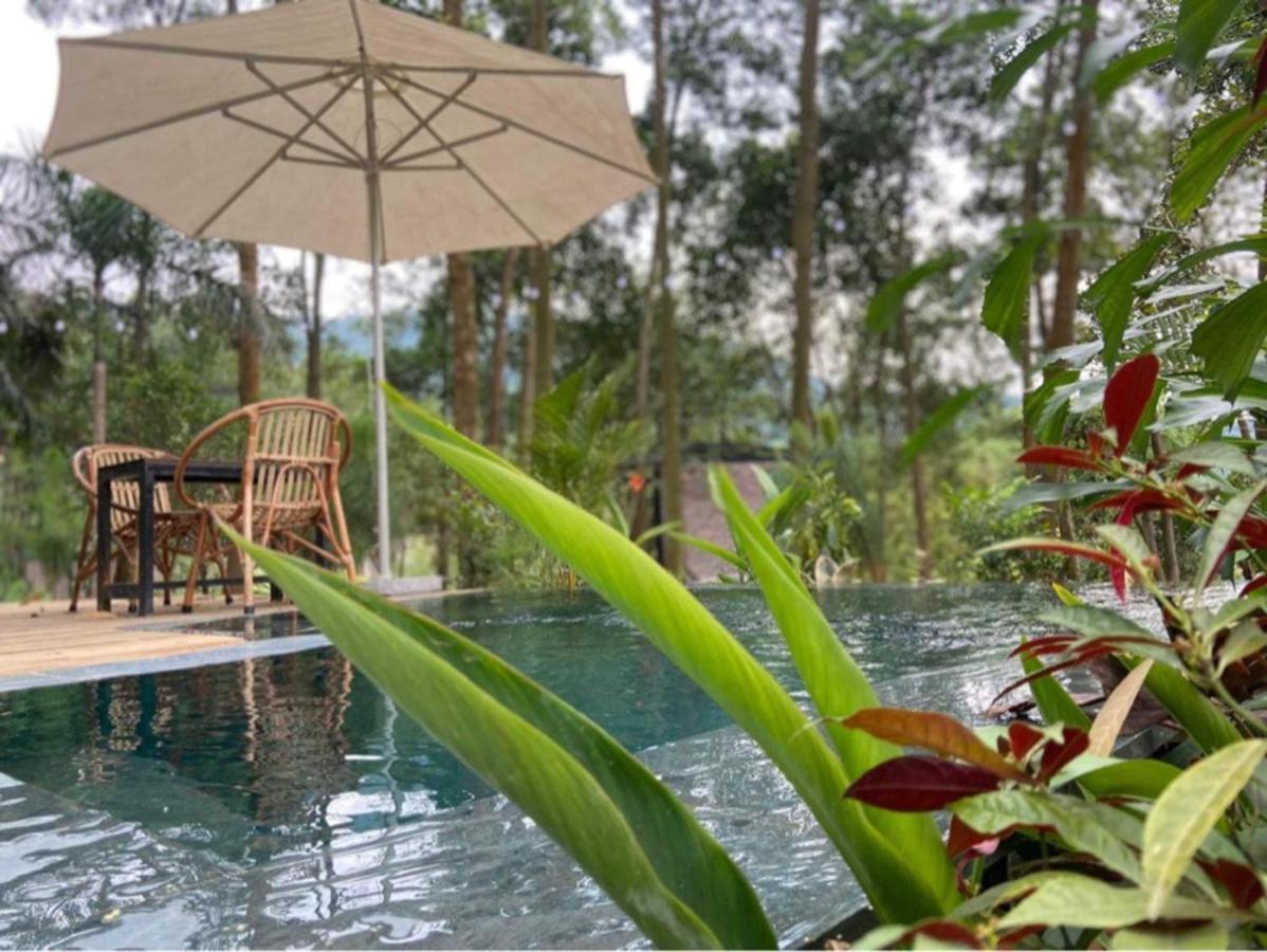 Lee & Sau Sau Garden - Venuestay * Hanoi