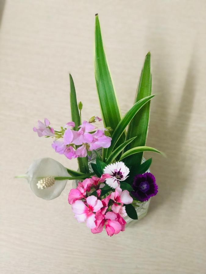 Teachers House Homestay Hanoi