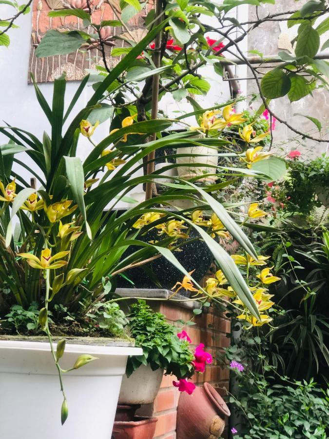 Teachers House Homestay