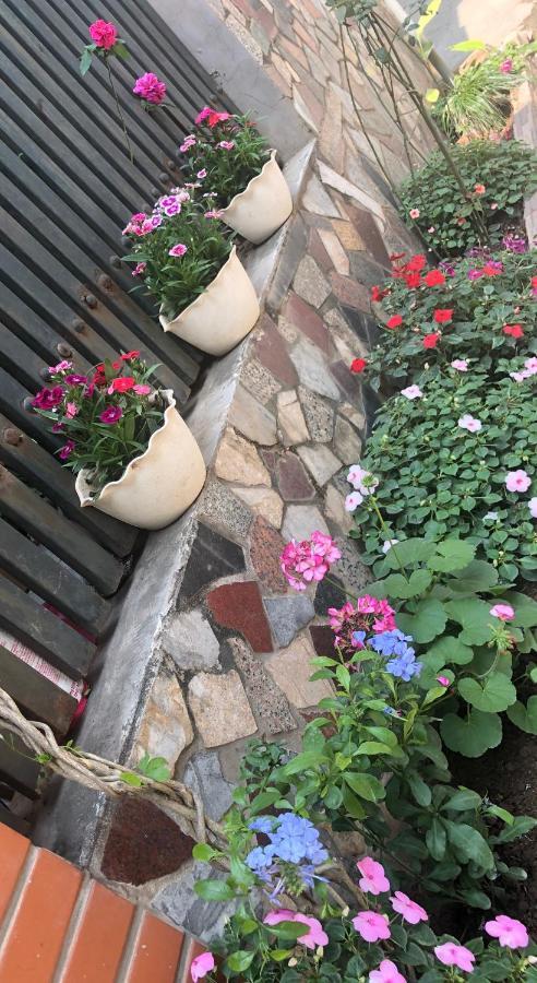 Teachers House Homestay Hanoi