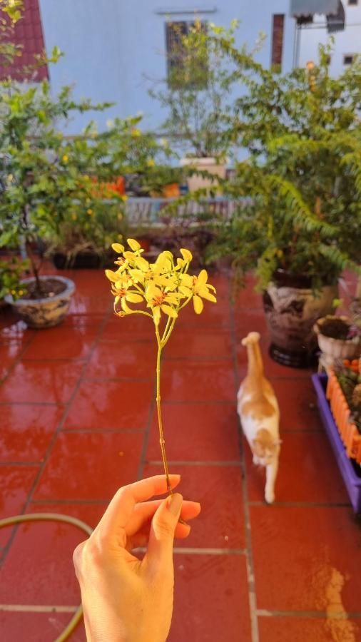 Daisy's Privatunterkunft Hanoi