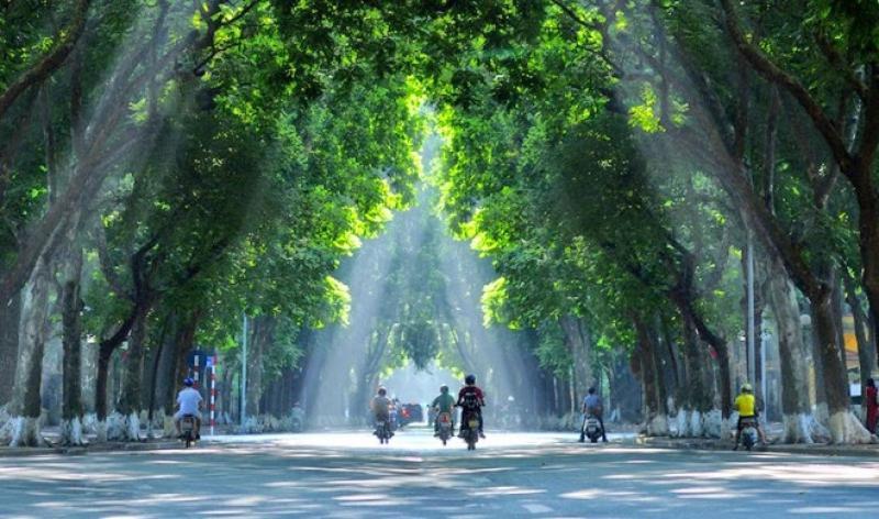 Kim's Homestay Center Of Ha Noi Homestay Hanoi