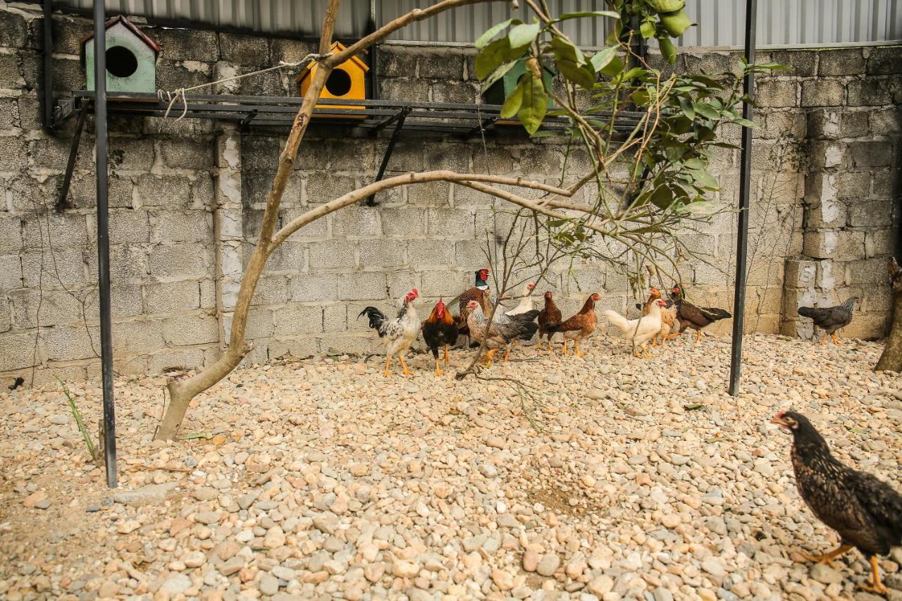 Villa An Sunrise Vinh Phuc