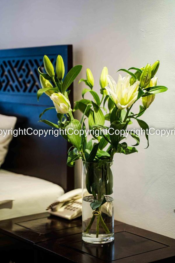 Wild Lotus & Travel 2 Hotel