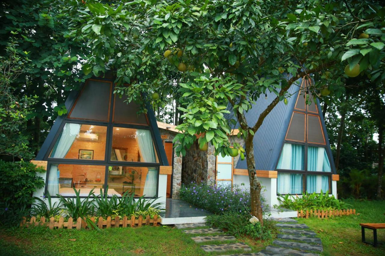 Interconnection Ba Vi Venuestay *