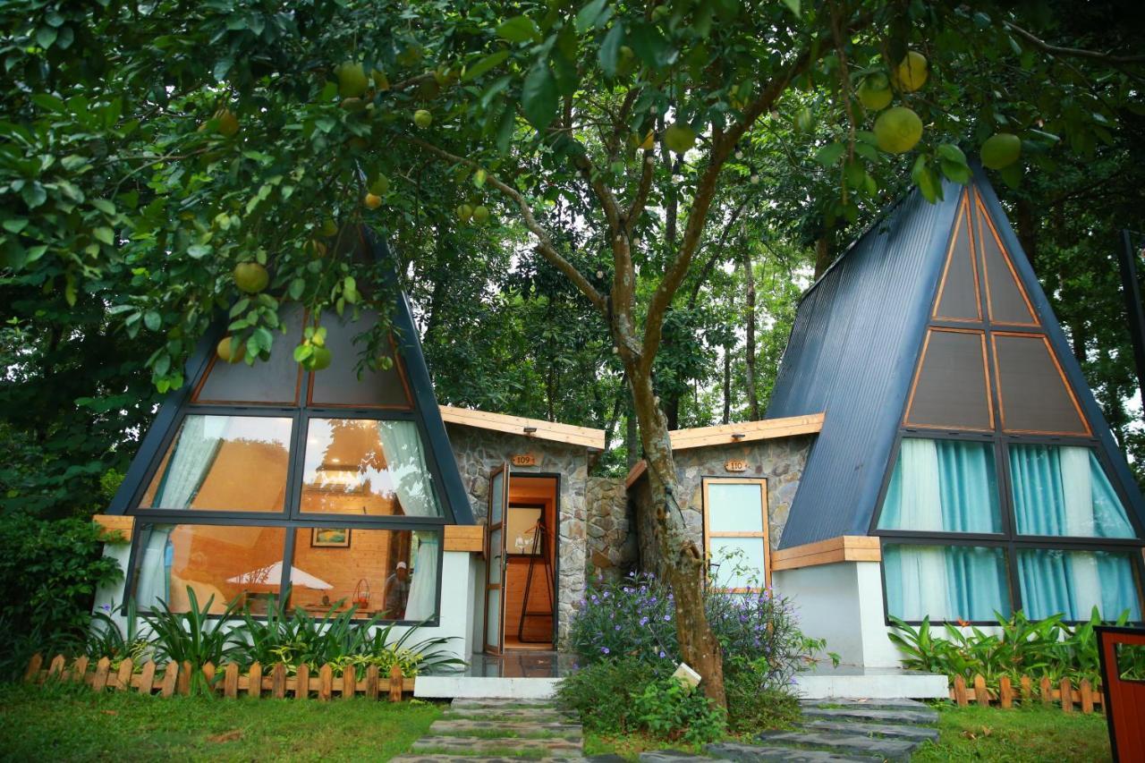 Interconnection Ba Vi Venuestay Hanoi