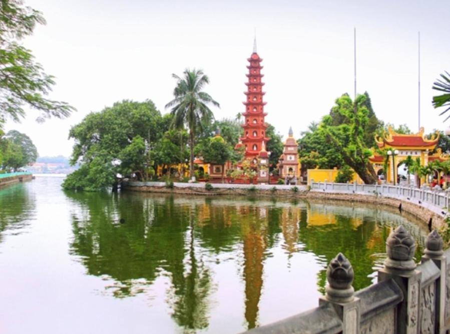 Da Tree Ở trọ
