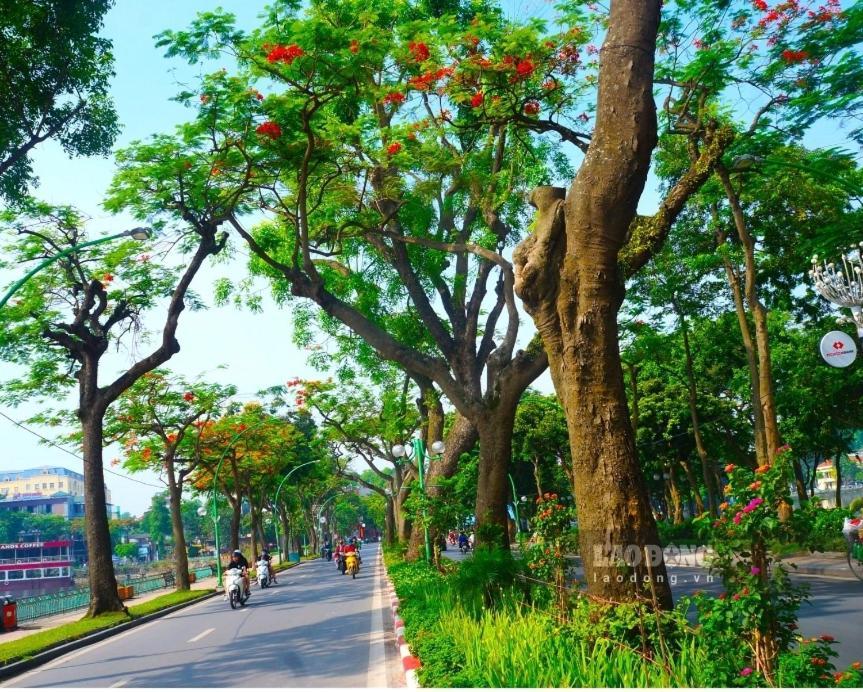 Da Tree Privatunterkunft Hanoi