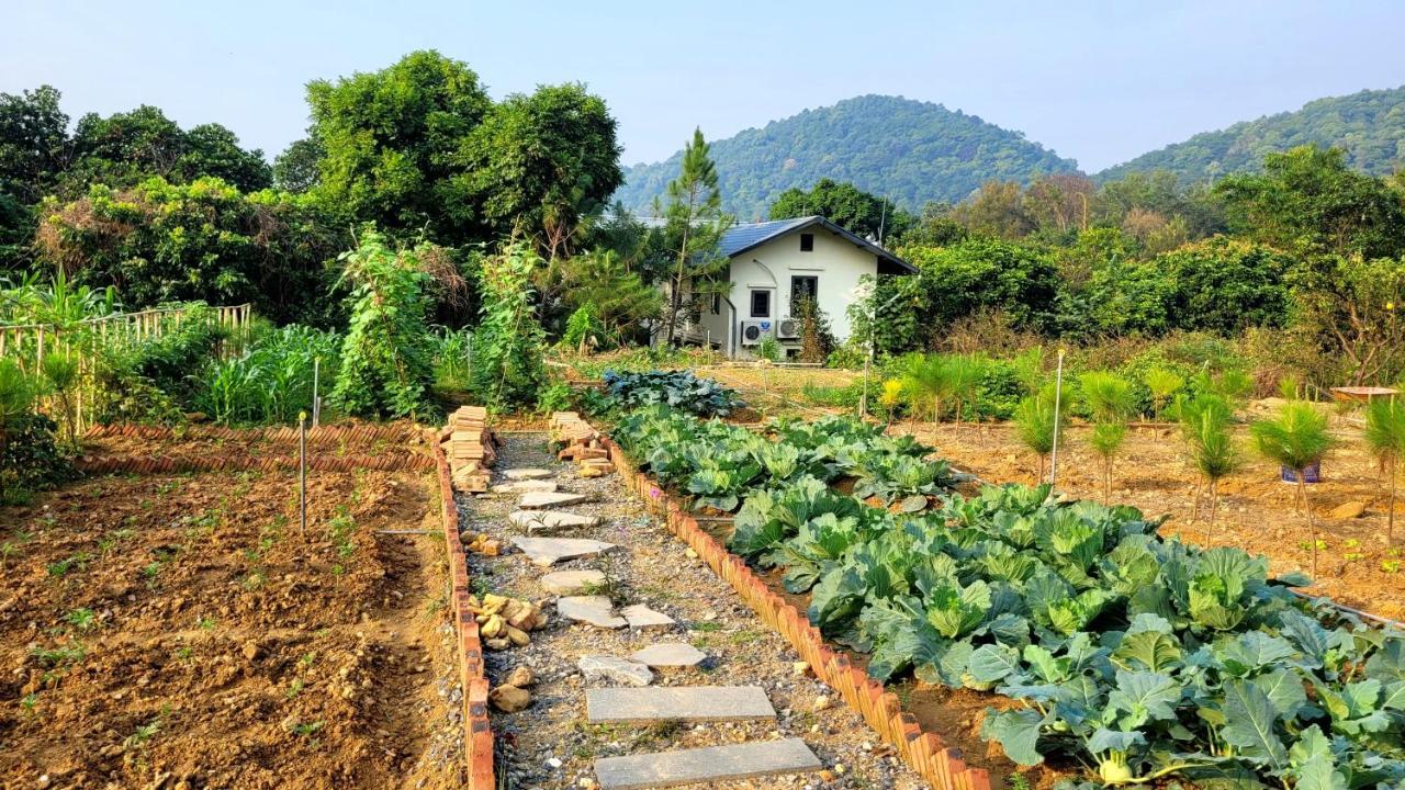 Lodge Anna Little Garden - Soc Son