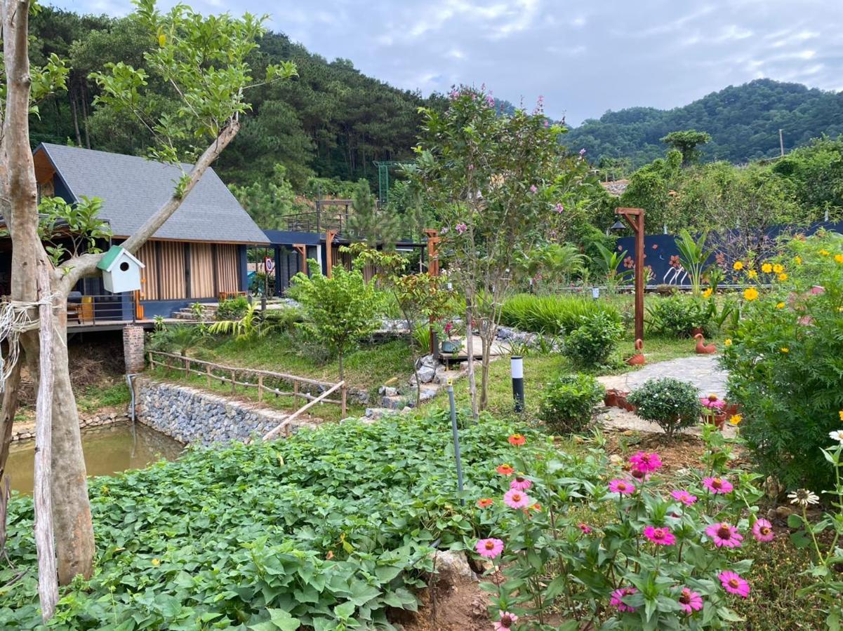 Lodge Anna Little Garden - Soc Son *