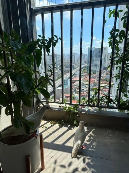 Apartment Ho Khach San Cao Cap