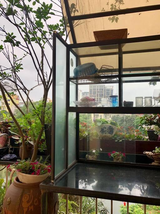 Pomelo - Sun's - View *