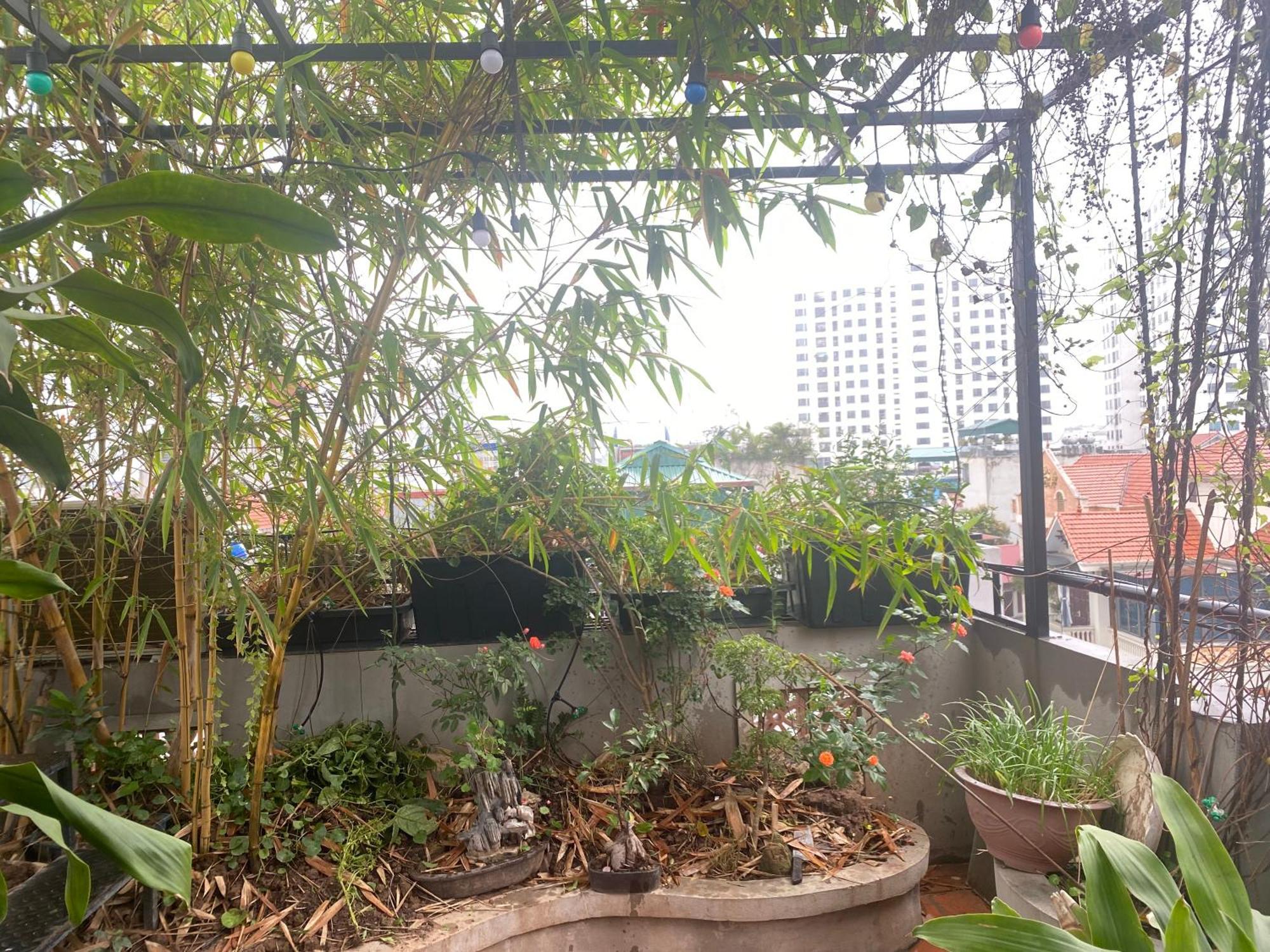 Rose Homestay Hanoi
