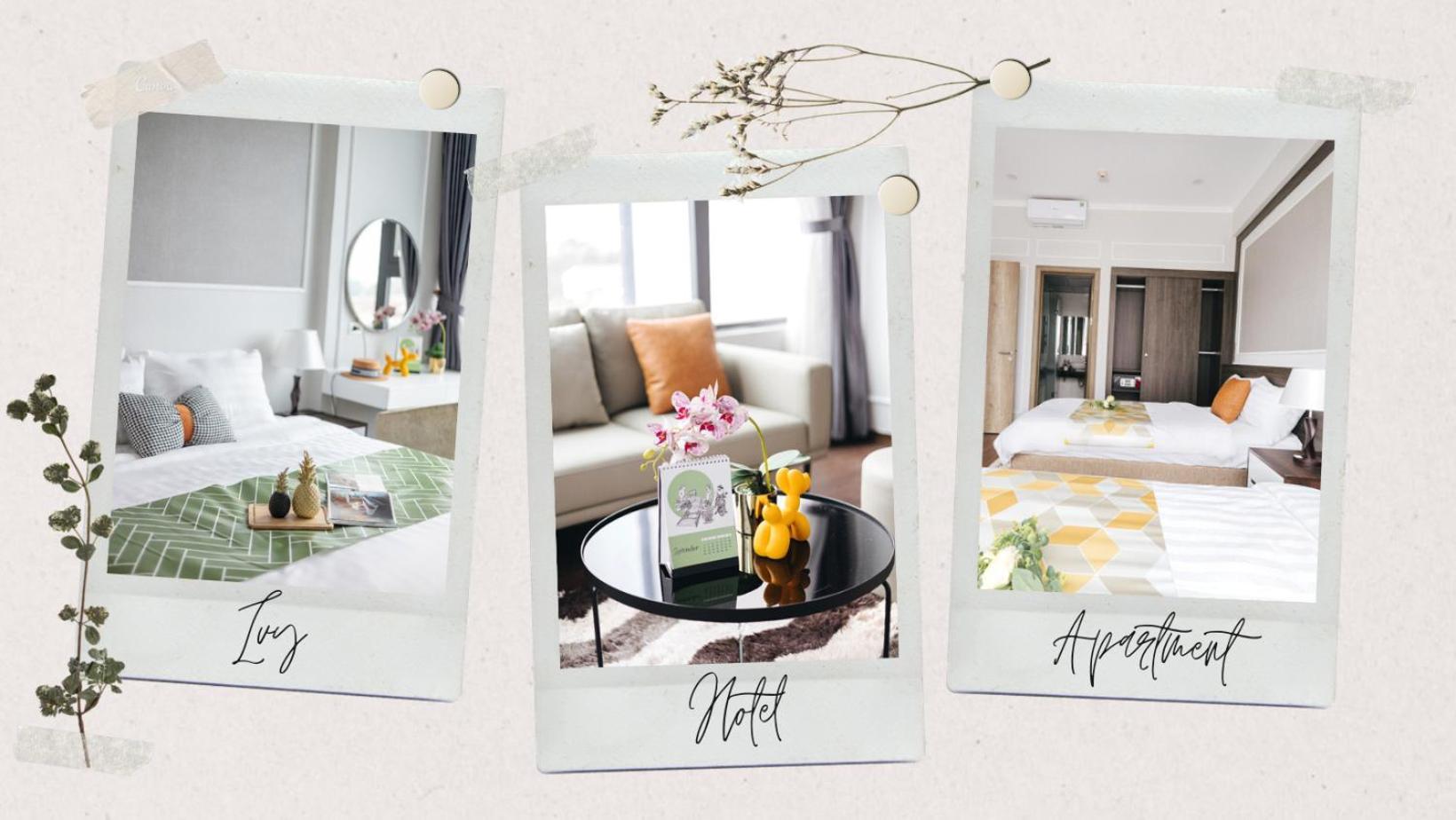 Hotel Ivy & - 24h 4*