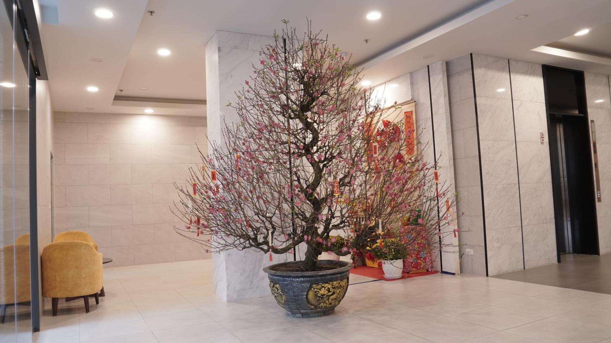 Apartment Luxury Bedrooms In Starlake Daewoo Ho Tay Hanoi