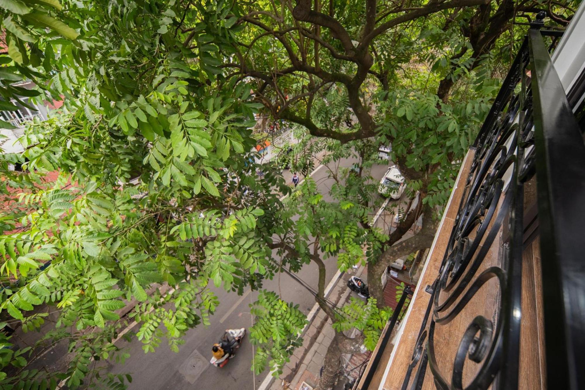 Studio-vincent Hanoi