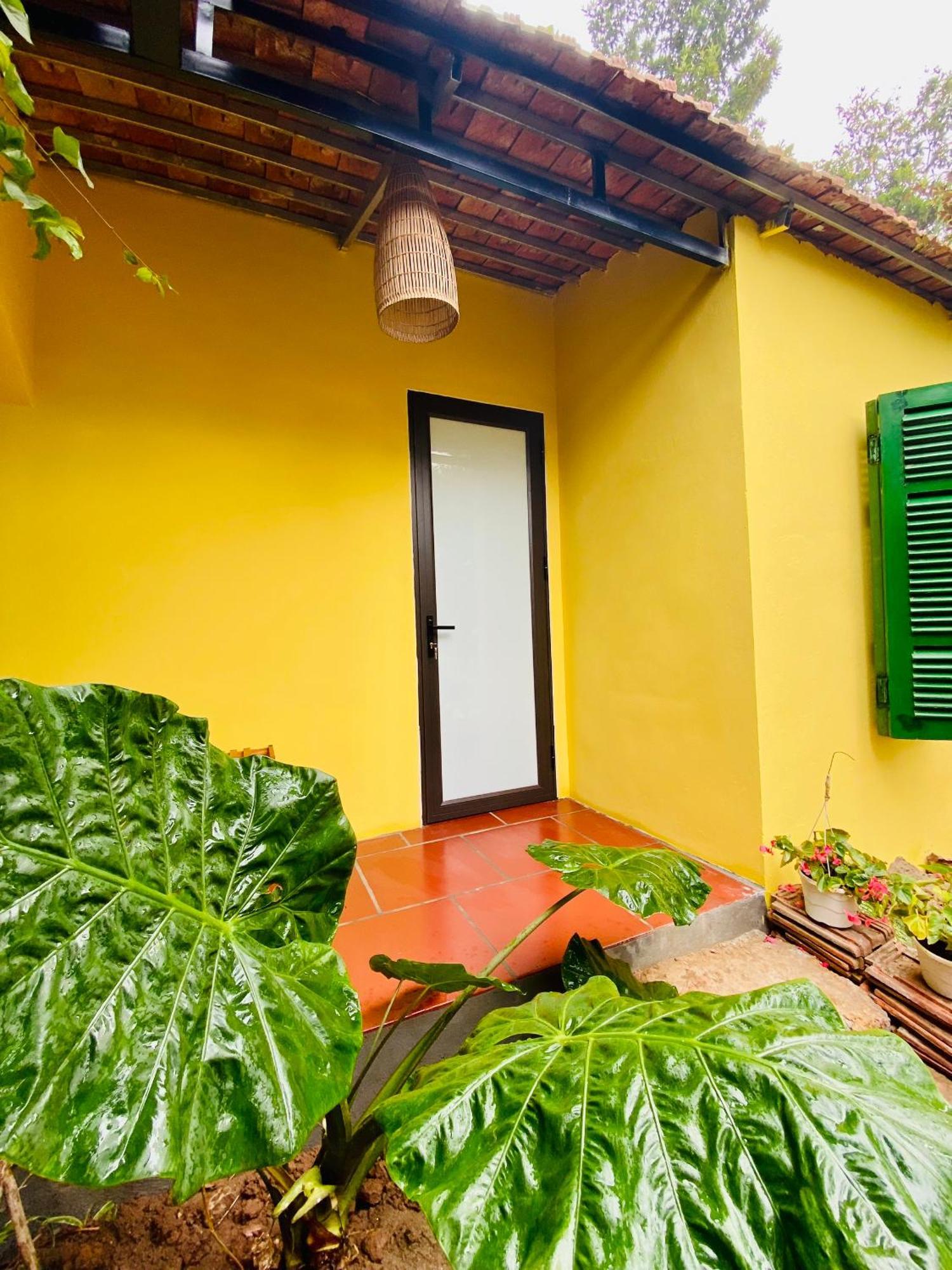 Elephant's House - Duong Lam *