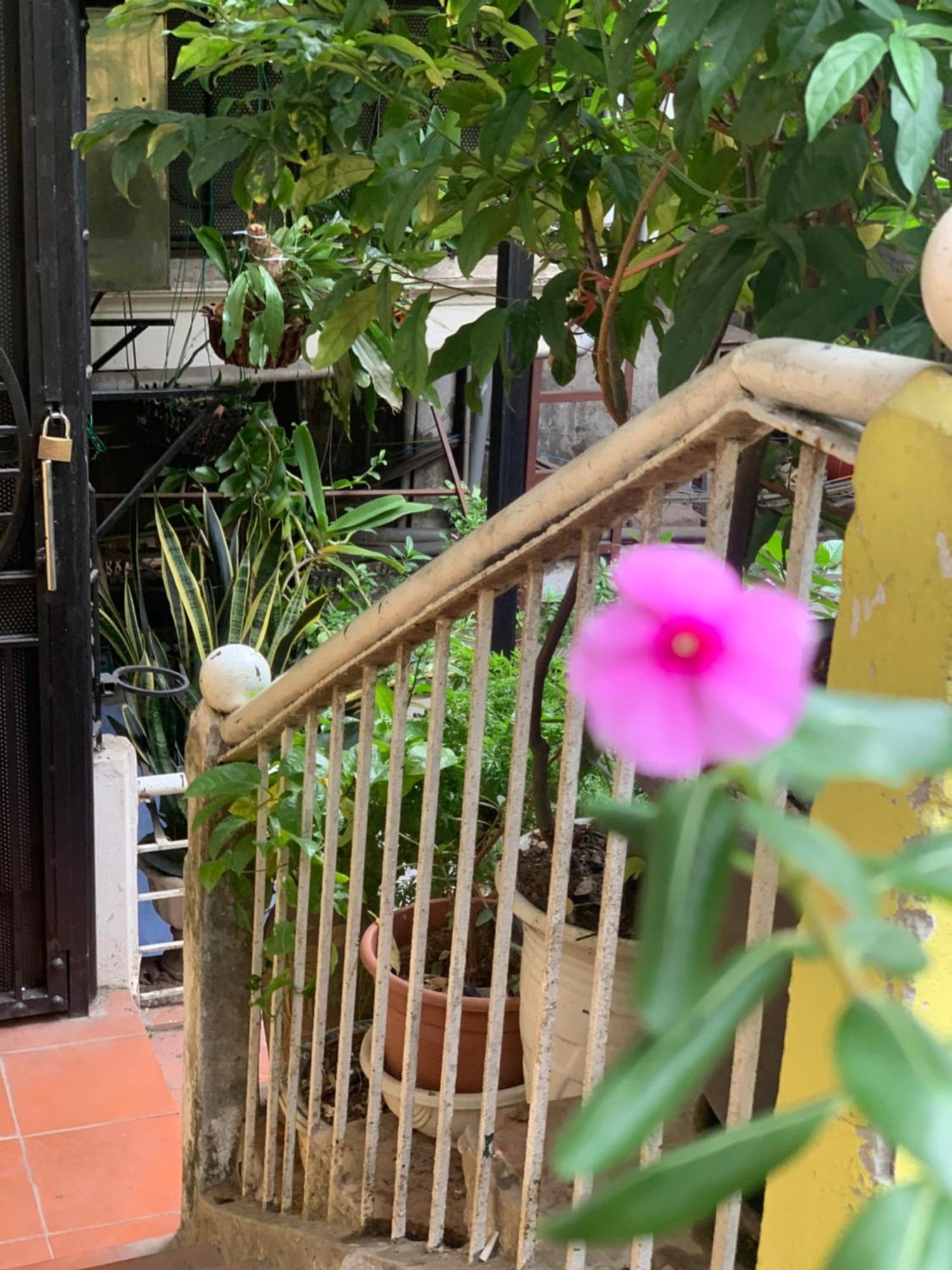 Homestay Charmcham House *