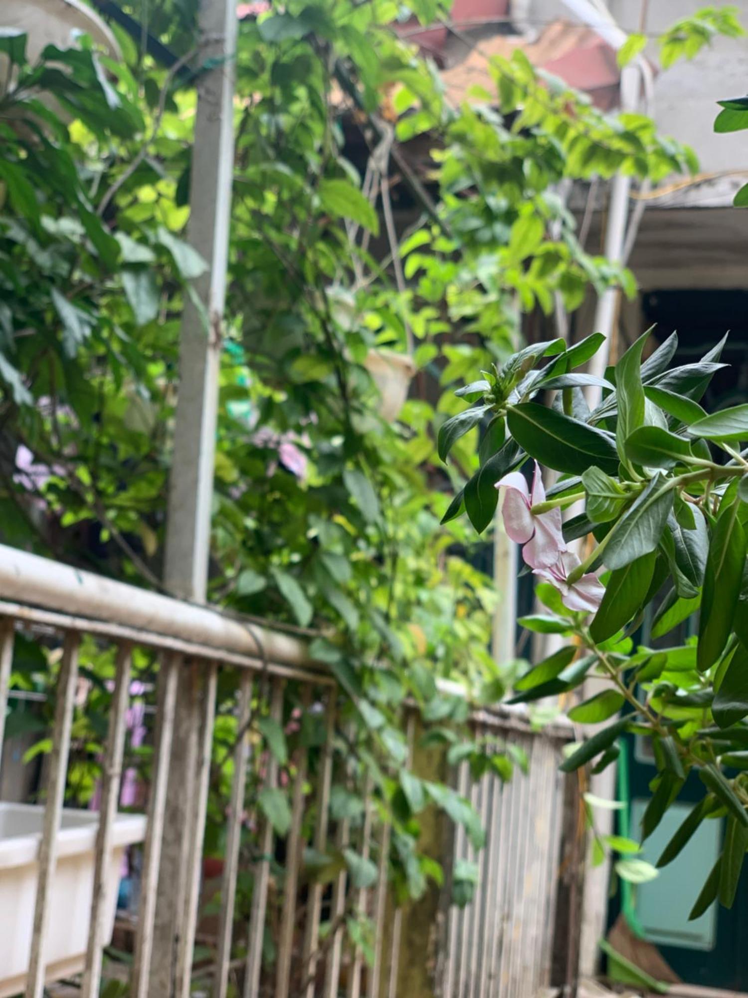 Charmcham House Homestay *