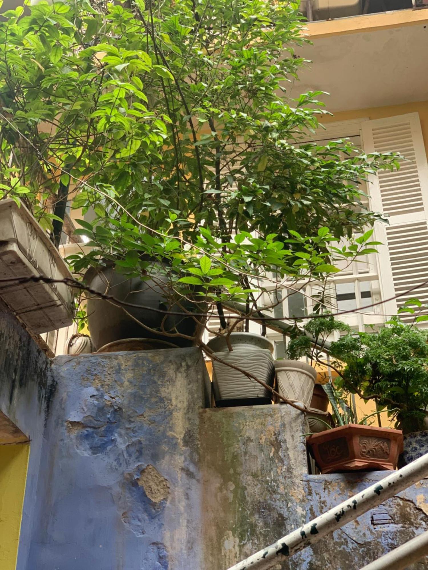 Charmcham House * Hanoi