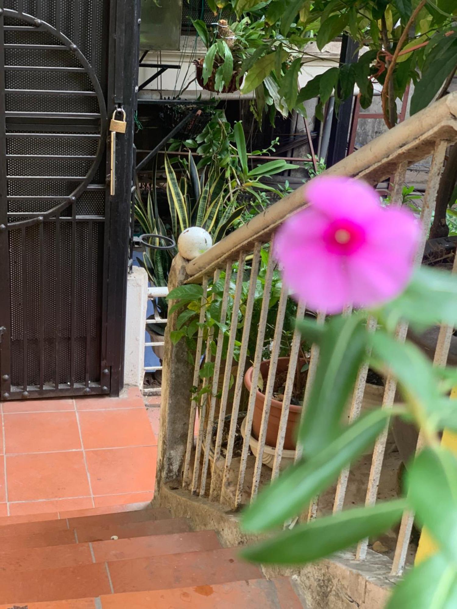 Homestay Charmcham House *